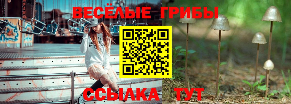 Галлюциногенные грибы мухоморы Тамбов