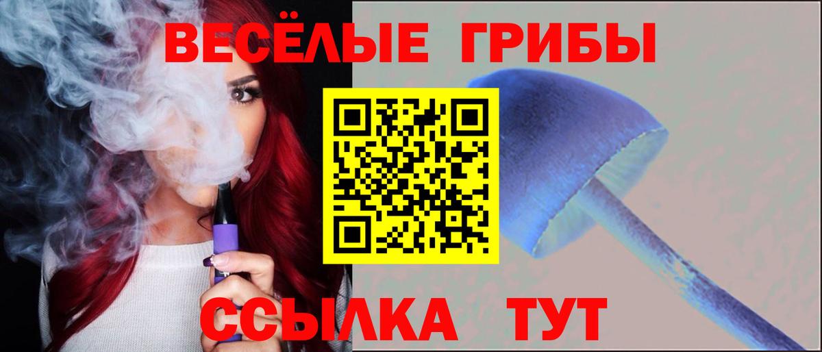 где можно купить наркотик  Вход с VPN  Тамбов  Галлюциногенные грибы Psilocybe 